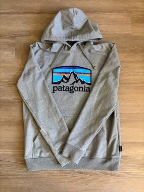 Patagonia Hoodie Great Condition Size M Men